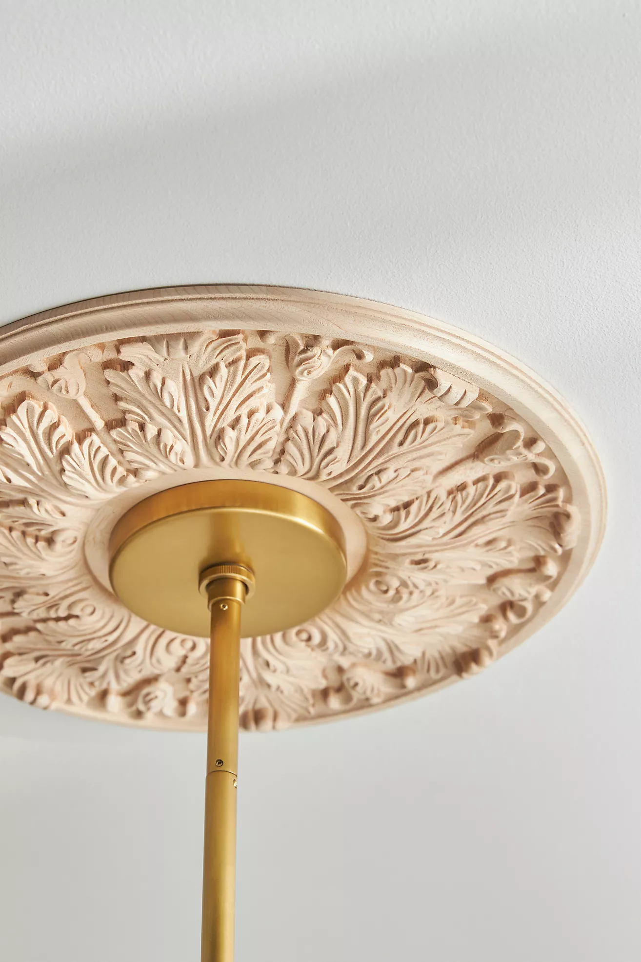 Florentine Ceiling Medallion