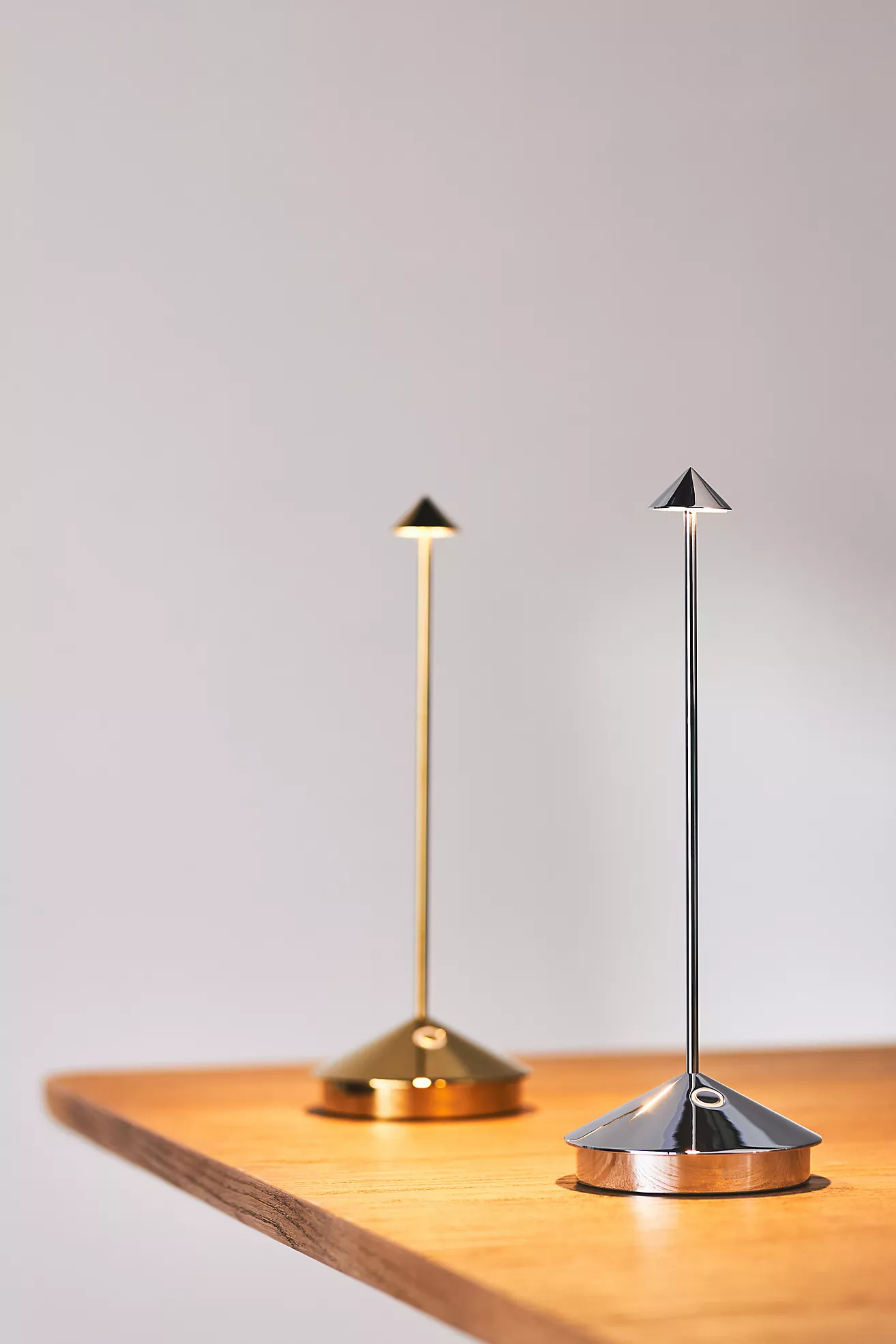 Pina Pro Metallic Cordless Rechargeable LED Table Lamp